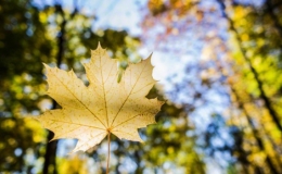 Miền Bắc thời tiết mát mẻ