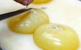 Món trứng bạch tuộc Nhật Bản