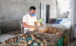 Muốn đi xa phải đi cùng nhau