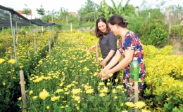Phụ nữ xã Bách Thuận học và làm theo gương Bác