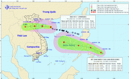 Tin bão khẩn cấp (Cơn bão số 7)
