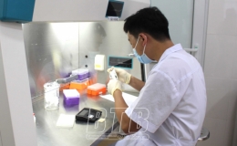 Tình hình dịch Covid-19 đến ngày 14/10