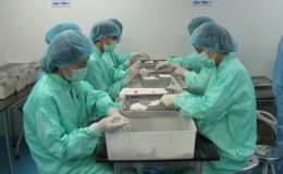 Việt Nam thử nghiệm vaccine Covid-19 trên khỉ