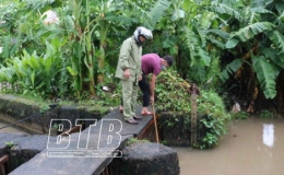 Các địa phương, đơn vị chủ động ứng phó với bão số 8