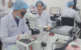 Đại học Quốc gia TP Hồ Chí Minh có thêm 2 nhóm ngành xếp hạng cao trên thế giới