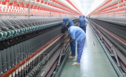 Doanh nghiệp Thái Bình: Thi đua thực hiện mục tiêu kép