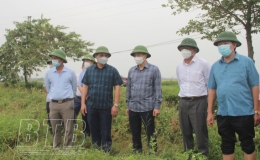 Đồng chí Lại Văn Hoàn, Phó Chủ tịch UBND tỉnh kiểm tra công tác ứng phó với bão số 7 tại huyện Đông Hưng, Thái Thụy