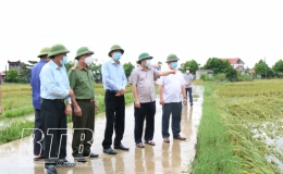 Đồng chí Nguyễn Quang Hưng, Phó Chủ tịch thường trực UBND tỉnh kiểm tra, chỉ đạo công tác khắc phục ảnh hưởng của bão số 7 tại huyện Thái Thụy