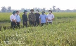 Đồng chí Nguyễn Tiến Thành, Phó Bí thư thường trực Tỉnh ủy, Chủ tịch HĐND tỉnh thăm mô hình phát triển kinh tế giỏi của hội viên nông dân