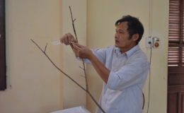 Hội Làm vườn tỉnh: Tập huấn kỹ thuật cải tạo vườn tạp và nâng cao hiệu quả kinh tế vườn