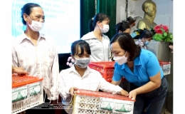 Hội Liên hiệp Phụ nữ huyện Quỳnh Phụ: Trao tặng 300 con gà giống cho phụ nữ nghèo