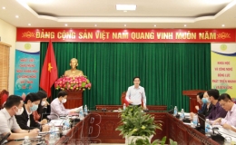 Khảo sát tình hình triển khai thi hành Luật Sở hữu trí tuệ