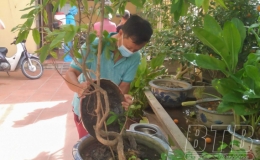Không chủ quan với bệnh sốt xuất huyết, đề phòng dịch chồng dịch