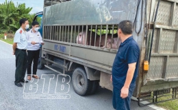 Tăng cường kiểm dịch động vật, sản phẩm động vật