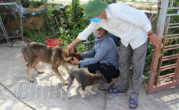 Tiền Hải: Chủ động phòng dịch bệnh cho đàn vật nuôi