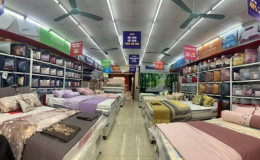 Tìm kiếm đệm bông ép chính hãng tại Thái Bình