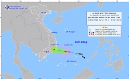 Tin áp thấp nhiệt đới khẩn cấp