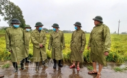 Đồng chí Lại Văn Hoàn, Phó Chủ tịch UBND tỉnh kiểm tra ảnh hưởng của bão số 7 đối với sản xuất nông nghiệp