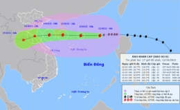 Triển khai kịp thời, hiệu quả, ứng phó bão số 8 và mưa lũ sau bão