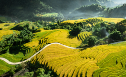 Việt Nam vào top điểm đến tháng 10