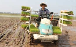 Vũ Thư: Triển khai đề án sản xuất vụ xuân, vụ hè năm 2022