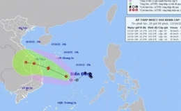 Áp thấp nhiệt đới cách Quảng Ngãi-Bình Định khoảng 410km