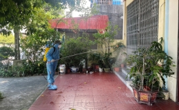 Điều tra, giám sát muỗi, bọ gậy truyền bệnh sốt xuất huyết