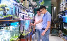 Độc đáo thú chơi thủy sinh