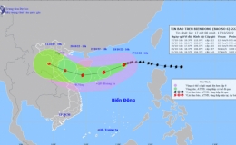 Đường đi của bão Nesat