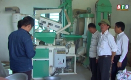 Hiệu quả từ liên kết sản xuất lúa gạo ở Kiến Xương