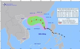 Không cho phép máy bay cất, hạ cánh đi vào vùng nguy hiểm bão số 7
