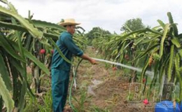 Nâng cao chất lượng hoạt động các trung tâm học tập cộng đồng