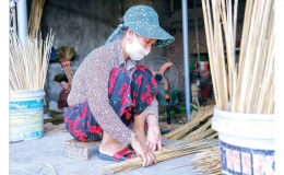 Người cao tuổi xã Tam Quang: Hăng say làm kinh tế với cây chổi đót