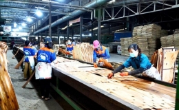 Rõ vai trò tập thể lãnh đạo và người đứng đầu cấp ủy