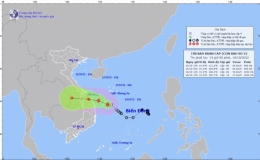 Tin bão khẩn cấp (Cơn bão số 5)