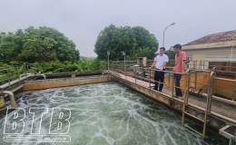 Bảo vệ môi trường, hướng tới phát triển bền vững