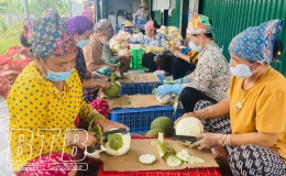 Biến cùi bưởi thành món ăn đậm vị hương quê