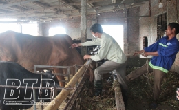 Chủ động phòng bệnh cho vật nuôi thời điểm giao mùa