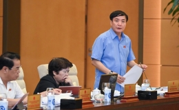 Chưa trình Quốc hội nội dung về thuế tối thiểu toàn cầu