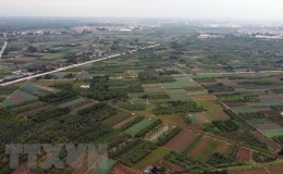 Diện tích đất đai của cả nước năm 2022
