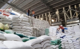 Gạo Việt Nam tiếp tục thiết lập kỷ lục mới