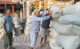 Gia đình anh Cường: Đam mê cấy lúa