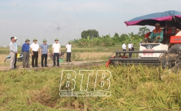 Khẩn trương huy động tối đa nhân lực, phương tiện để thu hoạch lúa mùa, hoa màu