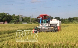 Mùa vui trên đồng ruộng
