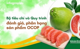 Những mục tiêu chính của Chương trình OCOP giai đoạn 2021-2025