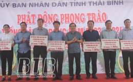 Phấn đấu gieo trồng cây màu vụ đông đạt 38.500ha trở lên