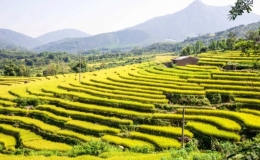 Tháng 10, tới Bình Liêu để hòa vào sắc thu vàng miền biên giới