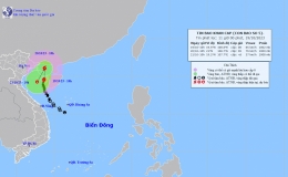 Tin bão khẩn cấp (Cơn bão số 5)