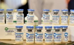 Việt Nam chính thức xuất khẩu vaccine phòng bệnh dịch tả lợn châu Phi