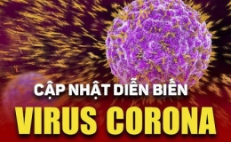 Việt Nam không ghi nhận ca tử vong do Covid-19 trong 5 tháng qua